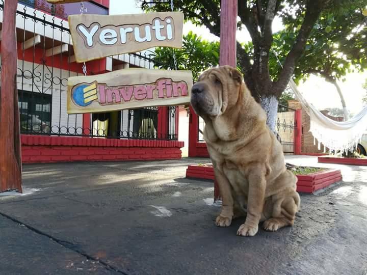 Posada Turistica Yeruti Encarnación Exteriér fotografie